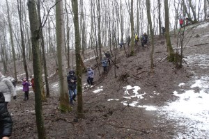 Екскурсія до Холодного Яру на первоцвіти